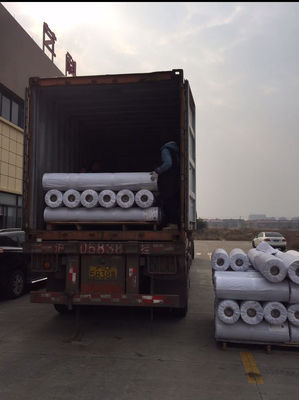 Decorative Marine Vinyl Woven Flooring Eco Friendly Bolon